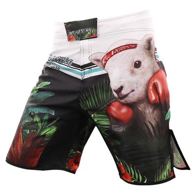 MMA格斗搏击短裤训练UFC定制散打