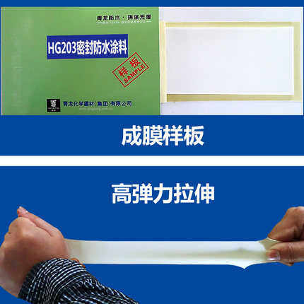 青龙CQ101HG203防水密封涂料专用水泥屋面水池聚氨酯环保防水材料