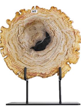 天然木化石切片摆件入户装饰品办公室桌面博古架艺术摆件开业送礼