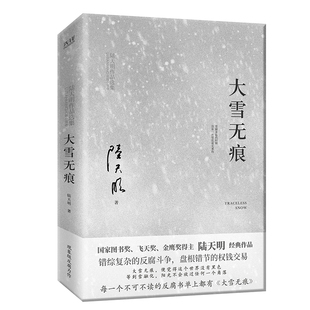 现货】大雪无痕 陆天明现实官场小说 政治官场职场反腐 现当代长篇小说