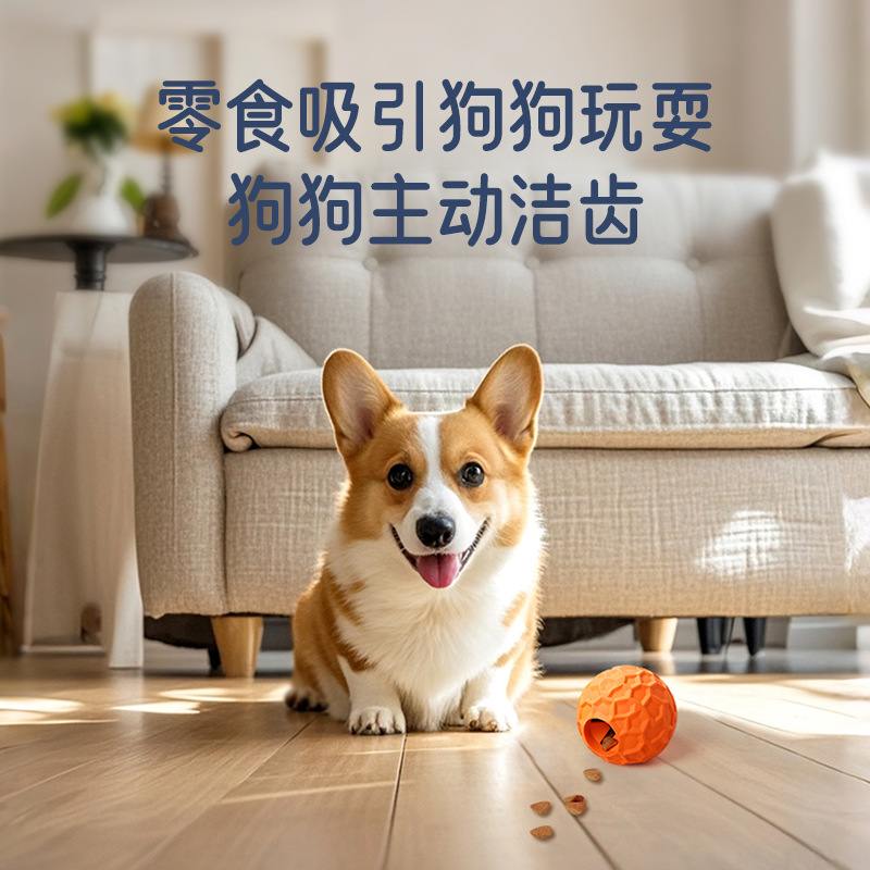 亚马逊爆款漏食球玩具宠物玩具狗抛掷球磨牙互动橡胶狗狗玩具玩具