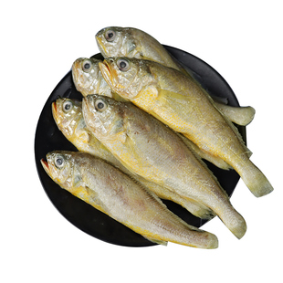 小黄花鱼2斤新鲜冷冻大小黄鱼海捕黄鱼深海鱼海鲜水产商用顺丰