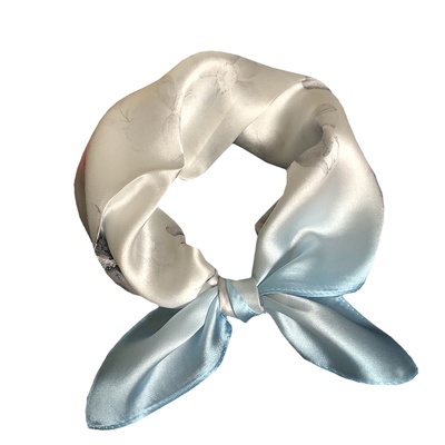 四季真丝桑蚕丝百搭领巾女小方巾