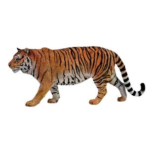 顺丰包邮【白虎/东北虎】CollectA官方授权正版动物模型早教玩具