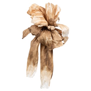 仿真纸艺花朵巨型大花道具直播间场景布置橱窗造景复古蝴蝶虞美人