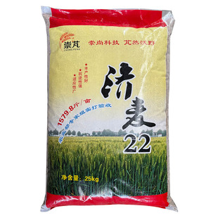 济麦22小麦种子 高产小麦种子 抗病抗倒 耐旱耐寒 大田种植小麦种