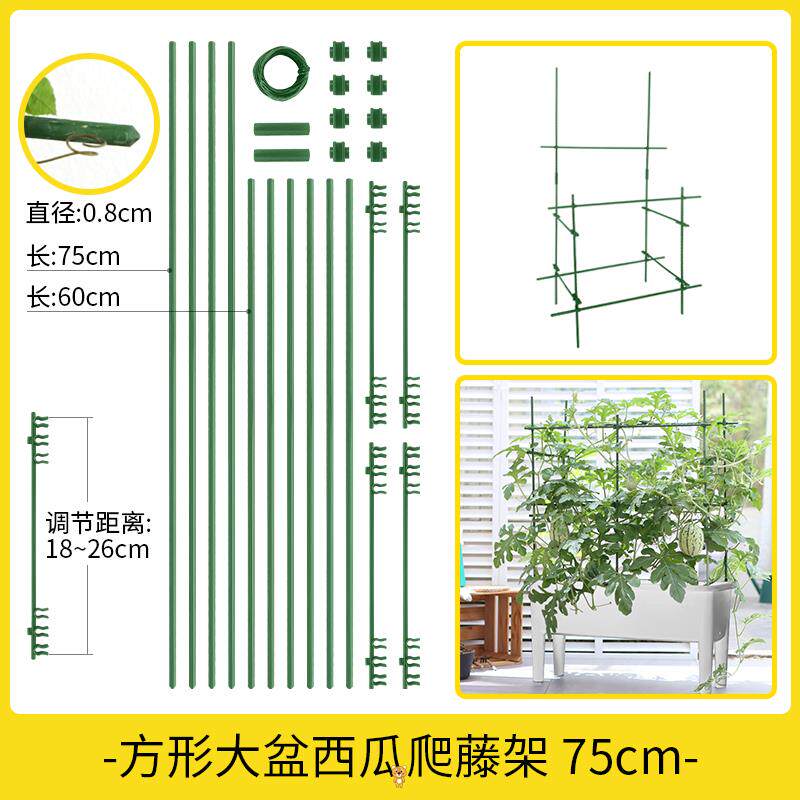 。番茄黄瓜西红柿爬藤架植物w瓜果花架爬藤花支架蔬菜西瓜支撑i.