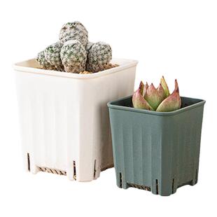 艺术秀园艺多肉盆四方盆接水盘托架套餐塑料花盆家用绿植桌面盆栽