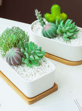 多肉花盆白色器型简约现代小花盆陶瓷大口径盆套装组合拼盘带托盘