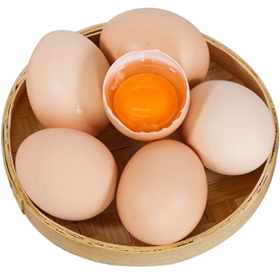 云湶谷灵芝土鸡蛋100枚新鲜农村放养鸡蛋早餐营养溏心蛋顺丰