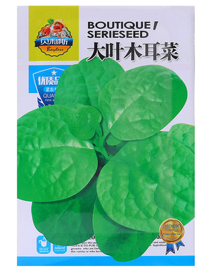 今年新种子木耳菜种子买二送一