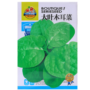 圆叶大叶木耳菜种子小青菜阳台盆栽菜种蔬菜种籽春夏秋季种植秧孑