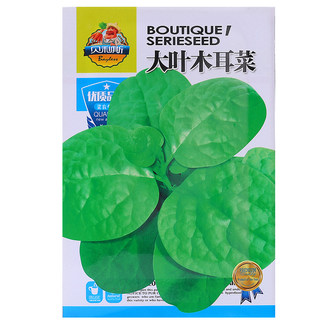 圆叶大叶木耳菜种子小青菜阳台盆栽菜种蔬菜种籽春夏秋季种植秧孑