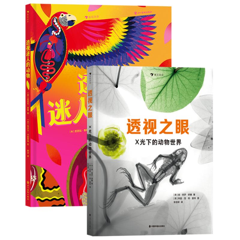 透视迷人的动物+X光下的动物后浪