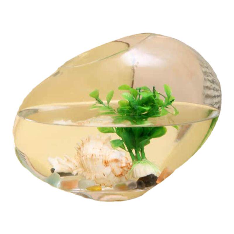 大号透明玻璃圆型金鱼缸客厅茶几摆件绿萝水培花器水族箱装饰品