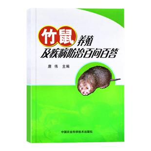 竹鼠养殖及疾病防治百问百答老鼠疾病竹鼠养殖技术资料大全华农兄弟竹鼠养殖教程书籍竹鼠养殖场管理养殖竹鼠喂养技巧养殖书籍大全