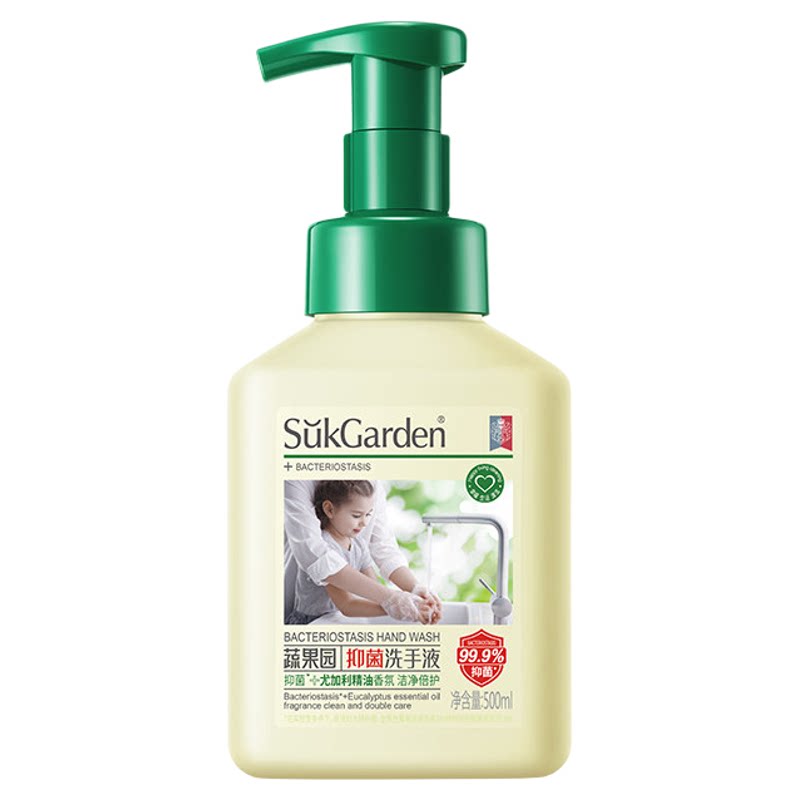 蔬果园抑菌泡沫洗手液500ml