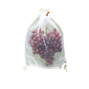 蓝莓套袋专用果袋草莓樱桃果树果子防鸟防虫无花果车厘子果实套袋