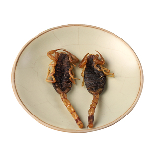 全蝎中药材康德瑞琪专营全虫干沂蒙清水蝎子可泡酒可搭透骨草