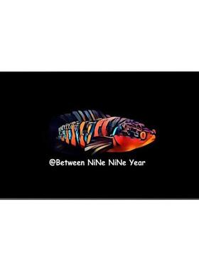 巴卡雷龙挂画水族原创装饰画墙画玄关鱼缸装饰ins风水族周边