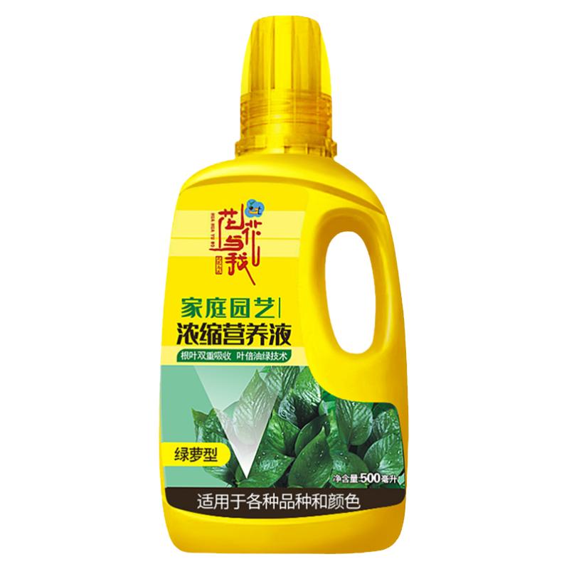 高浓缩绿萝专用营养液花花与我