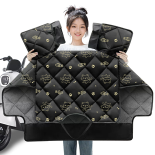 爱玛凌峰L301电动车挡风被冬季加绒加厚电瓶摩托车四季通用防风罩