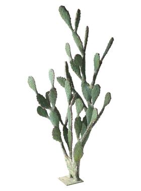 仿真仙人掌假绿植热带沙漠造景