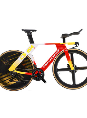 绿源奥运涂装戈梅拉GOMERA EVO DURA ACE Di2自行车TT公路车