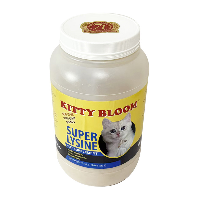 现货大宝同学kitty blo猫氨基酸/维生素/钙