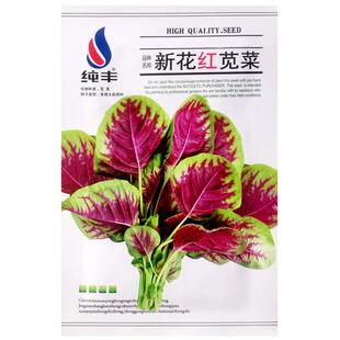 新花红苋菜种子农家四季播种植阳台盆栽庭院叶旱汉菜疏蔬菜种籽孑