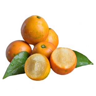 广西融安脆蜜金桔26年新春礼盒第三代金柑现摘现发送礼佳品