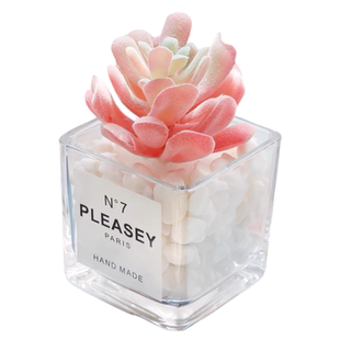 仿真多肉植物仙人掌ins假干花绿植室内桌面书架小盆栽装饰摆设件