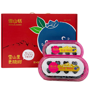 云南雪山恬蓝莓鲜果礼盒 200g/盒大果新鲜水果稼沃蓝莓水果顺丰