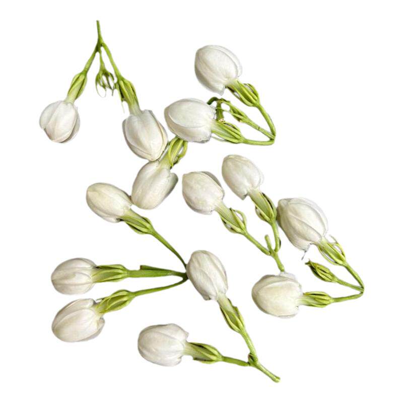茉莉花鲜花手串四季浓香净化空气