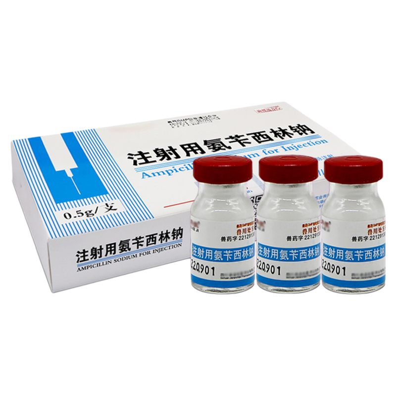 氨苄西林钠注射兽用宠物用消炎用