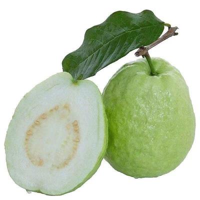 广东芭乐白心番石榴新鲜现摘应季低糖孕妇水果新鲜甜脆热带水果