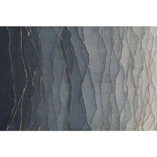 入户地垫进门门口门垫2024新款家用门外可擦洗玄关免洗高级感脚垫