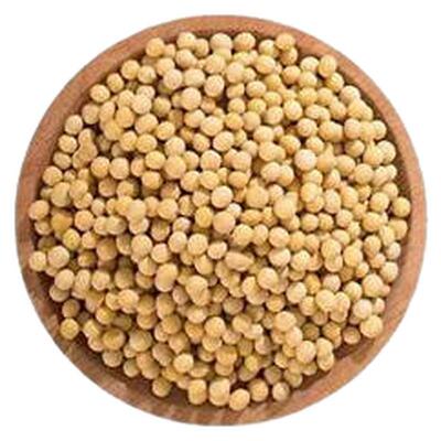 东北黑龙江优质新货黄豆非转基因打豆浆笨黄豆多规格可选
