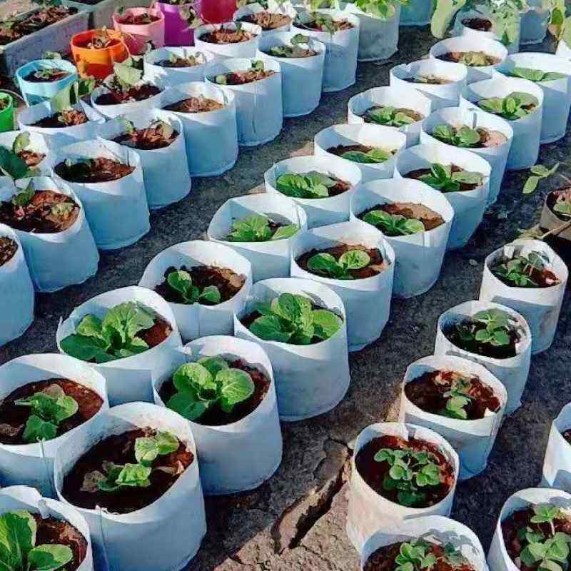 植树袋全新料无纺布环保便宜营养黑白厂家袋袋美种植代替袋花盆植
