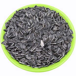 内蒙美人心葵花籽 现炒原味薄皮精品特大油葵子毛磕小花葵生瓜子