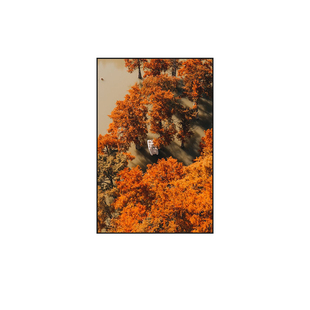 森林装饰画树林树木风景秋天餐厅小众北欧客厅玄关挂画灯画灯箱