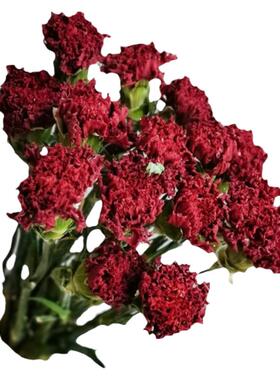 家居装饰云南干花批发价