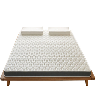 乳胶床垫家用卧室榻榻米记忆棉软垫硬垫学生宿舍单人床褥租房专用