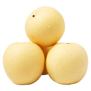 河北皇冠梨当季新鲜水果梨子雪梨清甜多汁整箱包邮蜜梨10斤