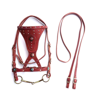 马笼头缰绳纯牛皮牵马绳缰绳马具拴马套马装备新款龙套金属扣大气