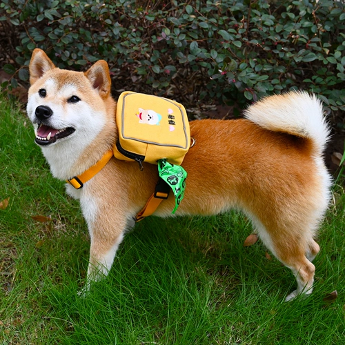 嶅 嶅 瓧 瀹 瀹 墿涔 ﹀ ﹀ 镫楃 嫍镆  熀娉 熀娉 姮鑳 姮鑳 姮鑳 儗鍒 儗鍒 儗鍒  栧 鑳 鑳 鑳 儗 儗 儗 ning ning