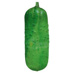 蔬菜种子水果黄瓜种籽四季苗秧盆栽春秋旱黄瓜籽种短棒17cm脆甜孑