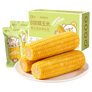 轻语拾光有机新鲜黄糯玉米300g*3根非转基因黏糯玉米棒原产直供