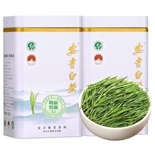 2025新茶正宗安吉白茶官方旗舰店特级明前绿茶散装茶叶礼盒装500g