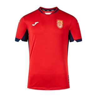 【可定制】24赛季中甲联赛重庆铜梁龙俱乐部比赛短袖球员版足球服